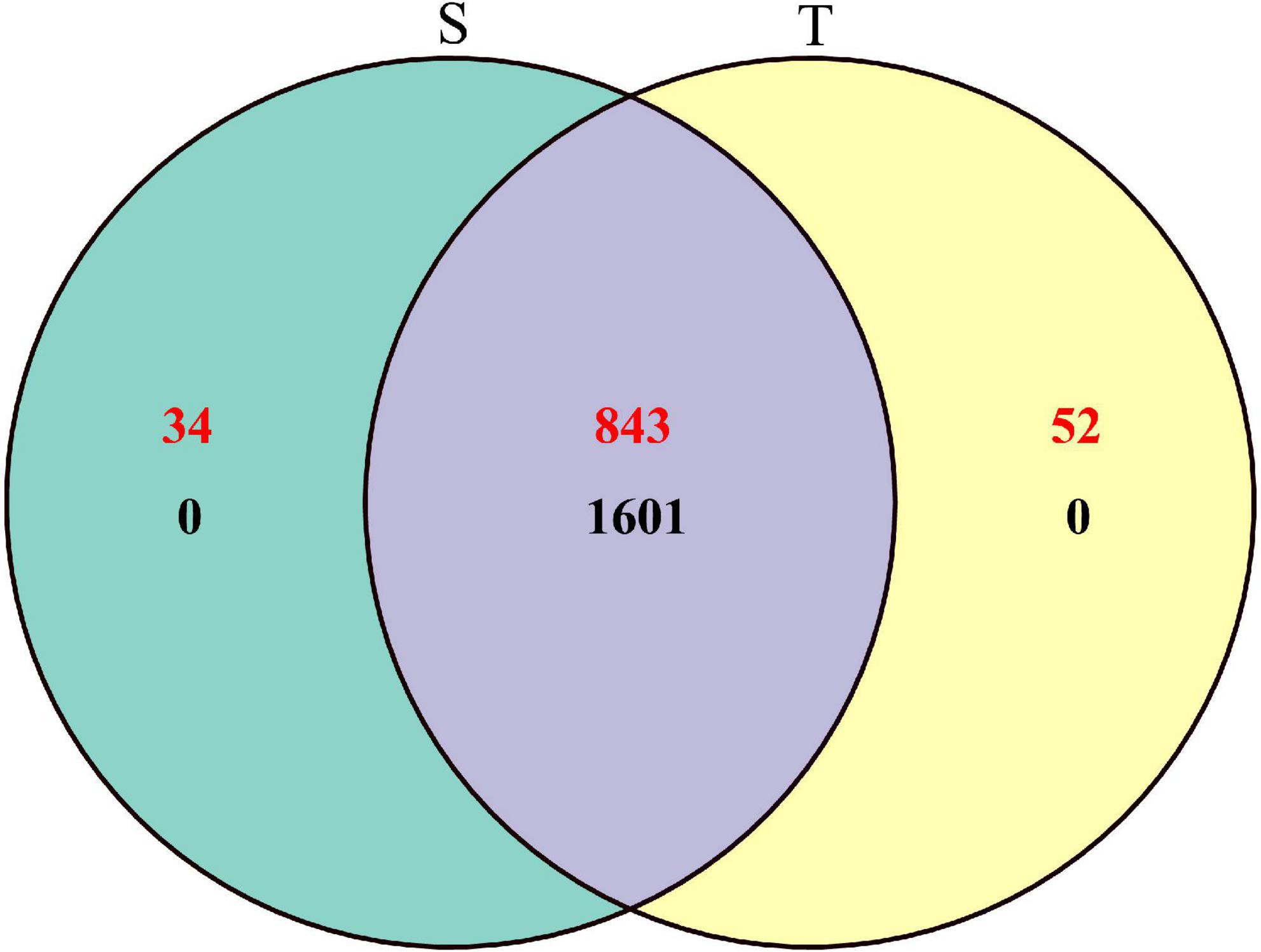Comparison of the diversity and structure of the rhizosphere microbial community between the straight and twisted trunk types of Pinus yunnanensis